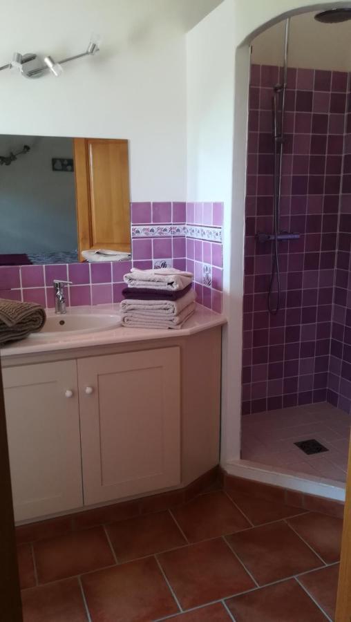 La Bastide De Nini Bed & Breakfast Carces Bagian luar foto